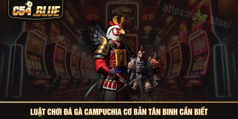 Luật chơi đá gà Campuchia cơ bản tân binh cần biết