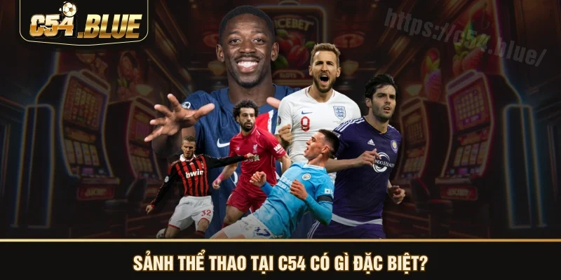 Sảnh thể thao tại C54 có gì đặc biệt?